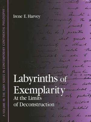 cover image of Labyrinths of Exemplarity